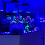 aquarium skimmer gebraucht kaufen