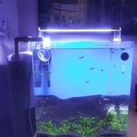nano aquarium komplettset gebraucht kaufen