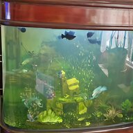 juwel aquarium beleuchtung gebraucht kaufen