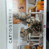 katzenkalender gebraucht kaufen