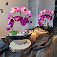 blumentopf orchidee gebraucht kaufen