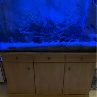 juwel aquarium beleuchtung gebraucht kaufen