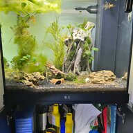 juwel aquarium pumpe gebraucht kaufen