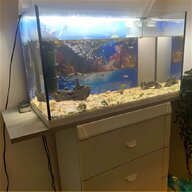 120 liter aquarium gebraucht kaufen