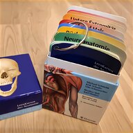 anatomie skelette gebraucht kaufen