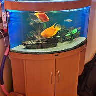 aquarium zubehor gebraucht kaufen