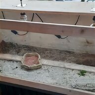 aquarium terrarium gebraucht kaufen