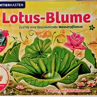 lotusblume gebraucht kaufen