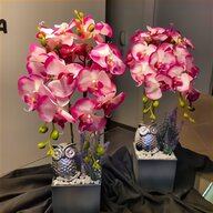 blumentopf orchidee gebraucht kaufen