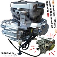 quad motor 250 gebraucht kaufen