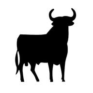 spanischer stier gebraucht kaufen