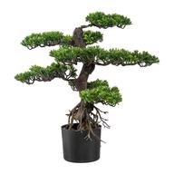 bonsai kunstpflanze gebraucht kaufen