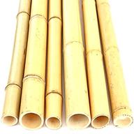 bambusrohr gebraucht kaufen