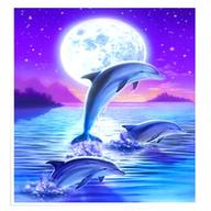 delfin poster gebraucht kaufen