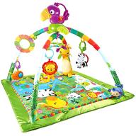Fisher price wippe