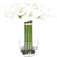 amaryllis vase gebraucht kaufen