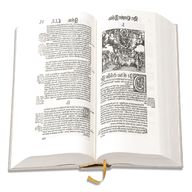 biblia germanica gebraucht kaufen