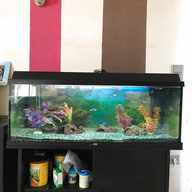 120 liter aquarium gebraucht kaufen