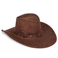 cowboyhut westernhut gebraucht kaufen