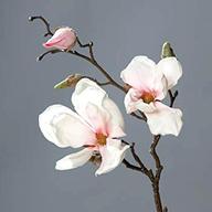 magnolienzweig gebraucht kaufen