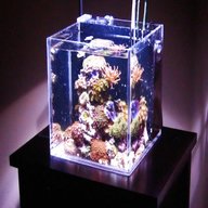nano aquarium salzwasser gebraucht kaufen