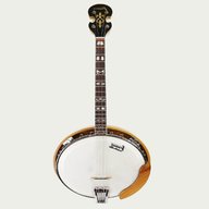 framus banjo gebraucht kaufen
