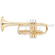 profi trompete gebraucht kaufen