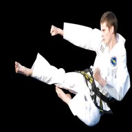 taekwondo kwon gebraucht kaufen