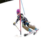 slalom ski gebraucht kaufen