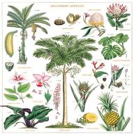 tropische pflanzen gebraucht kaufen