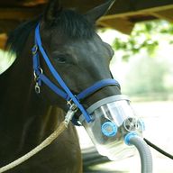 inhalator pferd gebraucht kaufen