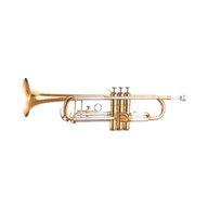 b trompete gebraucht kaufen