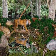 tiger diorama gebraucht kaufen