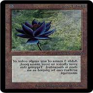 black lotus gebraucht kaufen