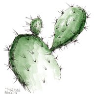 kaktus kunst gebraucht kaufen