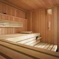 sauna farblicht gebraucht kaufen