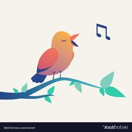 singing bird gebraucht kaufen