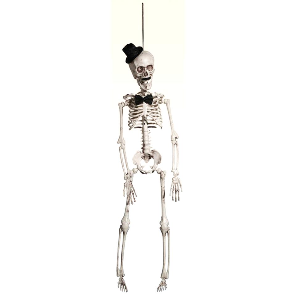 160 cm Skelett Boland 74515 ca