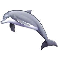 delfin deko gebraucht kaufen