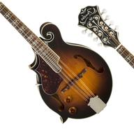 mandolin fender gebraucht kaufen