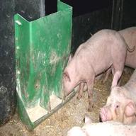 futterautomat fur schweine gebraucht kaufen