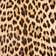 leopardenfell gebraucht kaufen