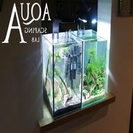 aquarium 10l gebraucht kaufen