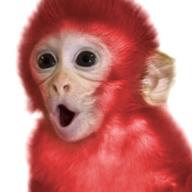 red monkey gebraucht kaufen