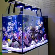 redsea aquarium gebraucht kaufen