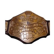 wrestling championship belts gebraucht kaufen