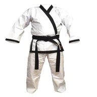 taekwondo anzug traditionell gebraucht kaufen