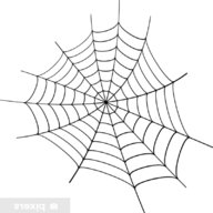 spinnennetz gebraucht kaufen